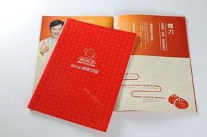 精品宣传画册 (12)