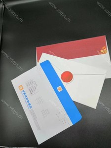 信封档案袋 (15)