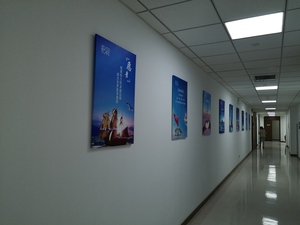 高清写真 (21)